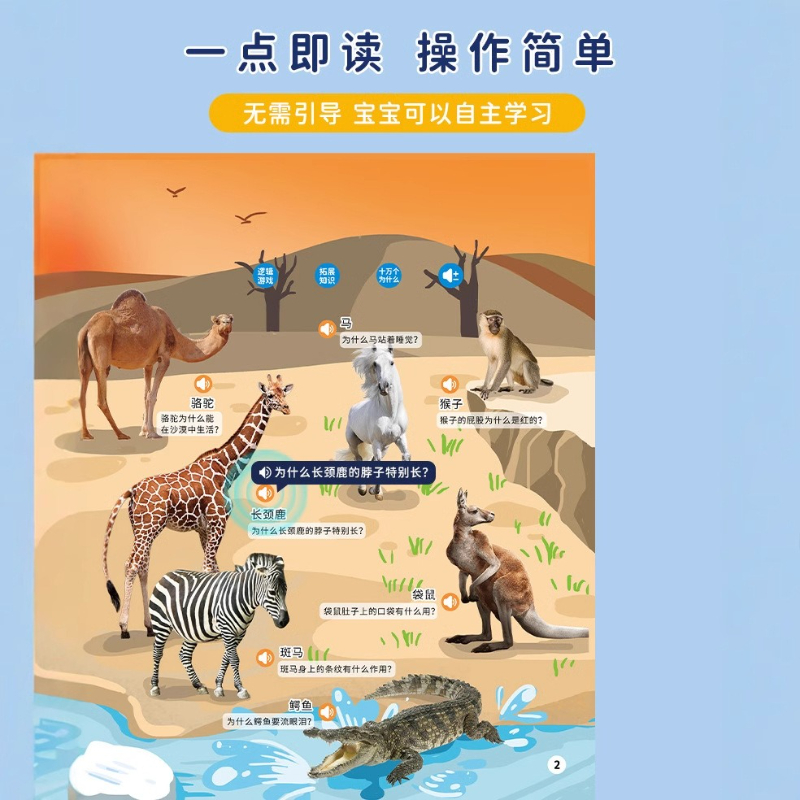 영어 단어 말하기 손가락 가리기 읽기 사운드북, 어린이 - Kids Education Words 리뷰 및 가격