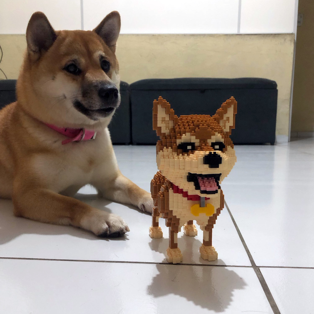 KNEW BUILT Shiba Inu 개 모델 마이크로 - Kids Education Recreation 리뷰 및 가격
