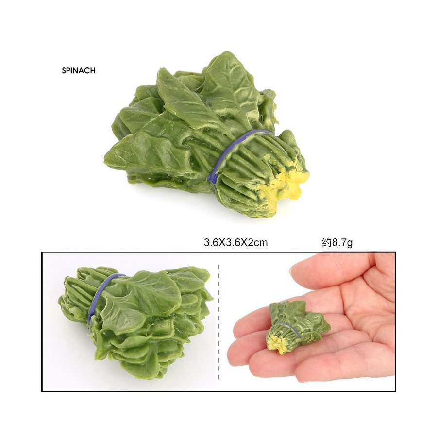 현실적인 야채 모델 피규어 양배추, 당근, 양파, 시금 - Kids Educational Device 리뷰 및 가격
