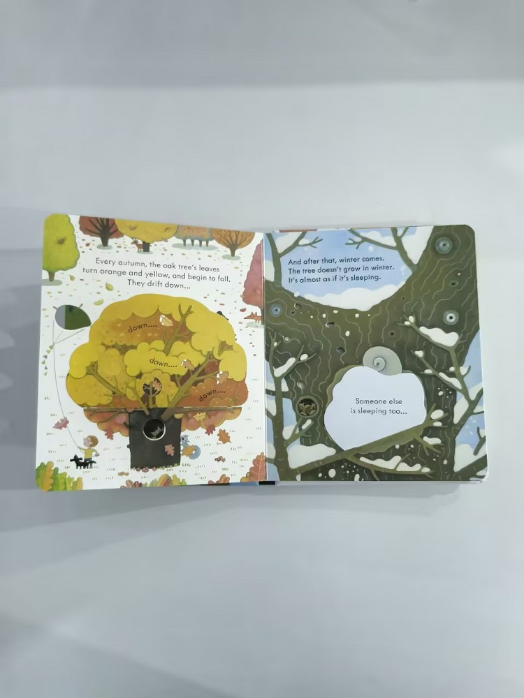 Usborne Peep Inside A Tree 3D  - Kids Early Education Books 리뷰 및 가격