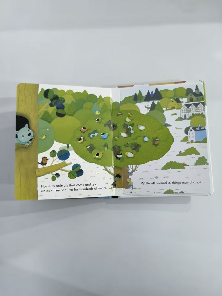 Usborne Peep Inside A Tree 3D  - Kids Early Education Books 리뷰 및 가격