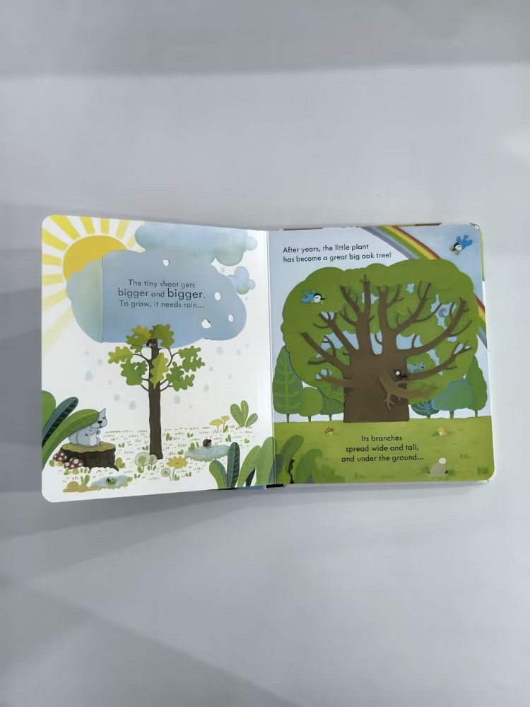 Usborne Peep Inside A Tree 3D  - Kids Early Education Books 리뷰 및 가격