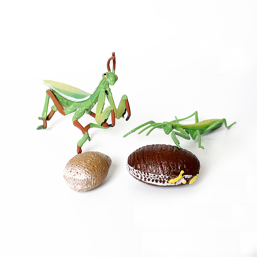 현실적인 난초 사마귀, 죽은 잎사귀 사마귀, 거대 잎사 - Kids Educational Device 리뷰 및 가격